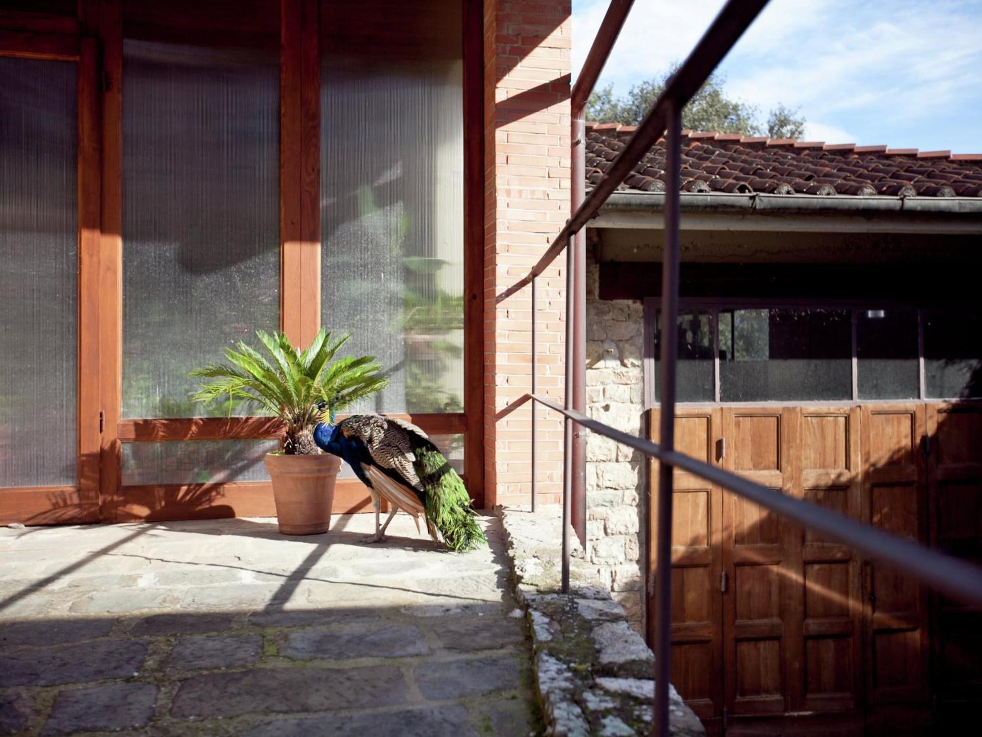 Pleasant Apartment With Swimming Pool Garden Bbq Parking Lucolena in Chianti Екстериор снимка